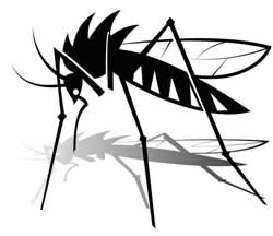 蚊に完全勝利する方法 を伝授いたします 直方市 丸窓のホームページ
